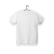 white_basic_text_TS_tyl_wiz.png