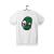 biale_greenBLCV_TS_tyl_wiz.png